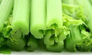 pagtambal sa varicose veins nga adunay celery